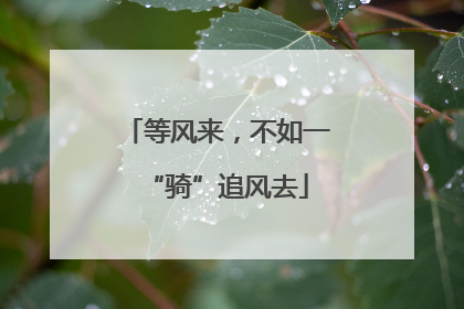 等风来，不如一“骑”追风去