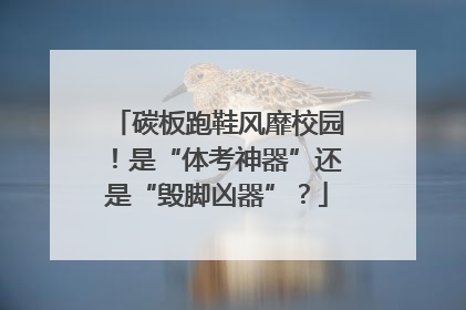 碳板跑鞋风靡校园！是“体考神器”还是“毁脚凶器”？