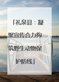礼泉县：凝聚宣传合力构筑野生动物保护防线