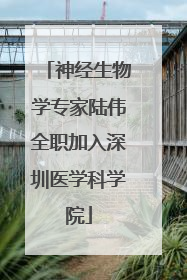 神经生物学专家陆伟全职加入深圳医学科学院