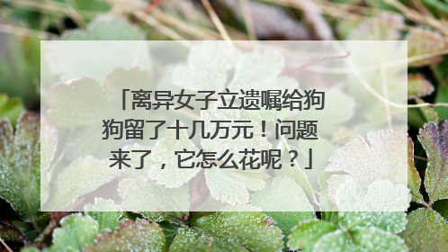 离异女子立遗嘱给狗狗留了十几万元！问题来了，它怎么花呢？