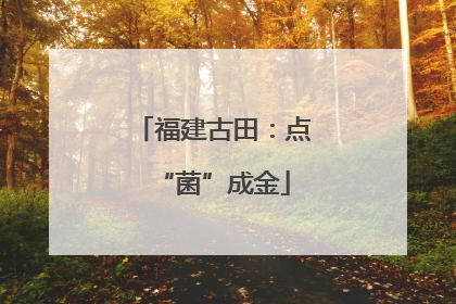 福建古田：点“菌”成金