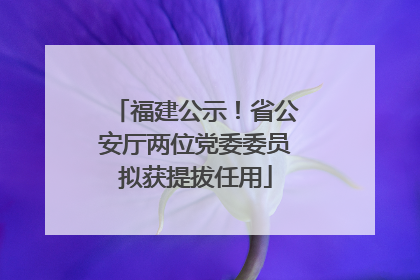 福建公示！省公安厅两位党委委员拟获提拔任用