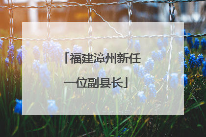 福建漳州新任一位副县长