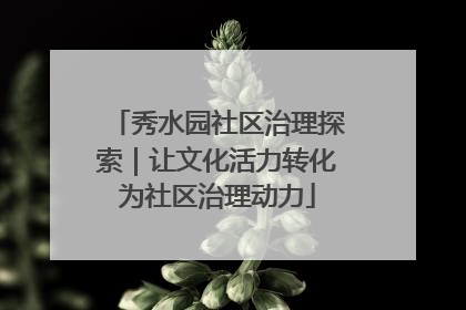 秀水园社区治理探索｜让文化活力转化为社区治理动力