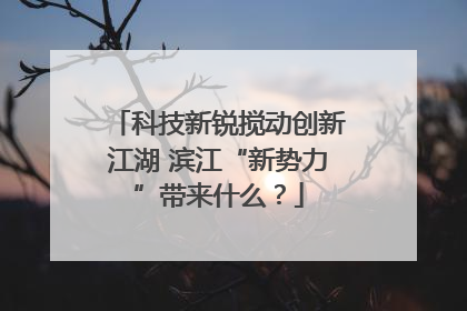 科技新锐搅动创新江湖 滨江“新势力”带来什么？