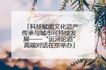 科技赋能文化遗产传承与城市可持续发展——“运河论道”高端对话在京举办