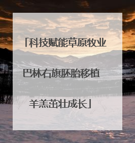 科技赋能草原牧业 巴林右旗胚胎移植羊羔茁壮成长