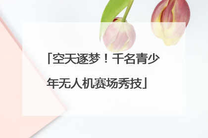 空天逐梦！千名青少年无人机赛场秀技