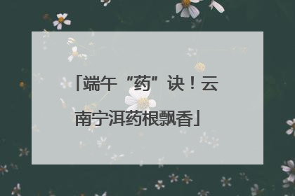 端午“药”诀！云南宁洱药根飘香