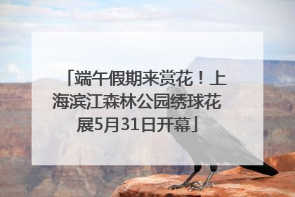 端午假期来赏花！上海滨江森林公园绣球花展5月31日开幕