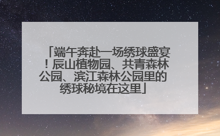 端午奔赴一场绣球盛宴！辰山植物园、共青森林公园、滨江森林公园里的绣球秘境在这里