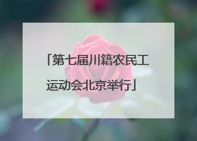 第七届川籍农民工运动会北京举行