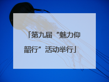 第九届“魅力仰韶行”活动举行