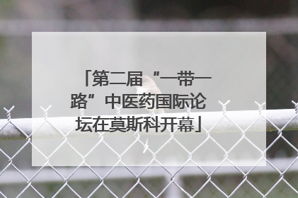 第二届“一带一路”中医药国际论坛在莫斯科开幕