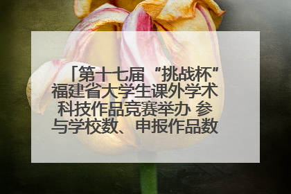 第十七届“挑战杯”福建省大学生课外学术科技作品竞赛举办 参与学校数、申报作品数创历史新高