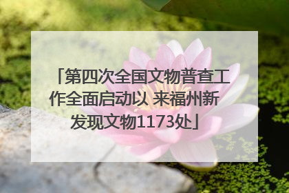 第四次全国文物普查工作全面启动以 来福州新发现文物1173处