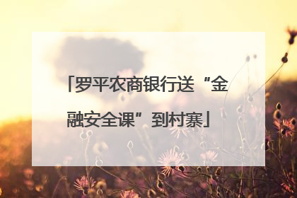 罗平农商银行送“金融安全课”到村寨