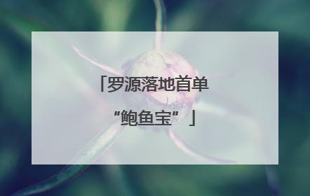 罗源落地首单“鲍鱼宝”