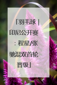 羽毛球｜印尼公开赛：程星/张驰混双首轮晋级