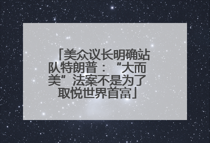 美众议长明确站队特朗普：“大而美”法案不是为了取悦世界首富