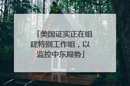 美国证实正在组建特别工作组，以监控中东局势