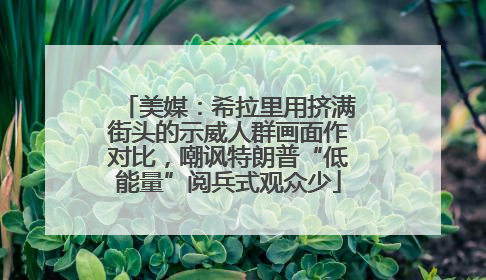 美媒：希拉里用挤满街头的示威人群画面作对比，嘲讽特朗普“低能量”阅兵式观众少