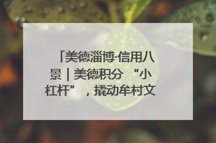 美德淄博·信用八景｜美德积分 “小杠杆”，撬动牟村文明 “大能量”