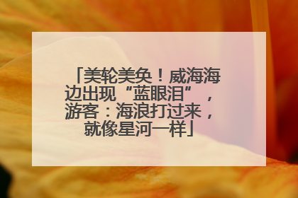 美轮美奂！威海海边出现“蓝眼泪”，游客：海浪打过来，就像星河一样