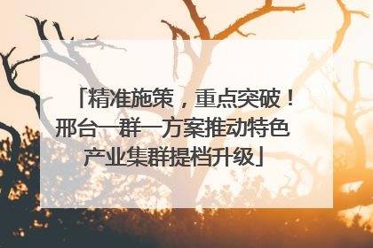 精准施策，重点突破！邢台一群一方案推动特色产业集群提档升级