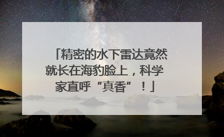 精密的水下雷达竟然就长在海豹脸上，科学家直呼“真香”！
