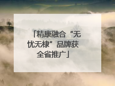 精康融合“无忧无棣”品牌获全省推广