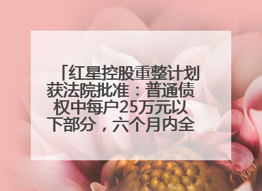 红星控股重整计划获法院批准：普通债权中每户25万元以下部分，六个月内全额现金清偿