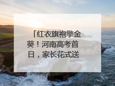 红衣旗袍擎金葵！河南高考首日，家长花式送考藏满爱与盼