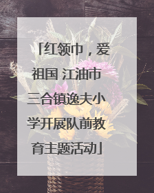 红领巾，爱祖国 江油市三合镇逸夫小学开展队前教育主题活动
