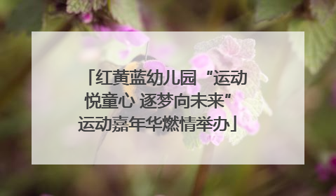 红黄蓝幼儿园“运动悦童心 逐梦向未来”运动嘉年华燃情举办