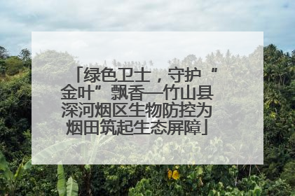 绿色卫士，守护“金叶”飘香—竹山县深河烟区生物防控为烟田筑起生态屏障