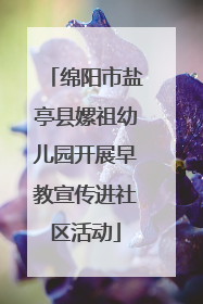 绵阳市盐亭县嫘祖幼儿园开展早教宣传进社区活动