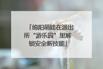 绵阳萌娃在派出所“游乐园”里解锁安全新技能