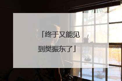 终于又能见到樊振东了