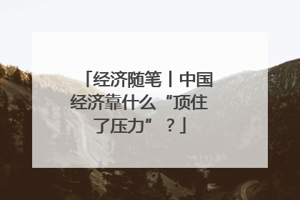 经济随笔丨中国经济靠什么“顶住了压力”？