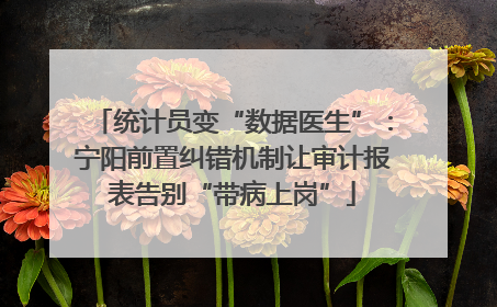 统计员变“数据医生”：宁阳前置纠错机制让审计报表告别“带病上岗”