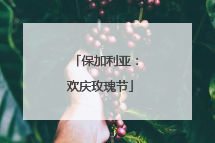 保加利亚：欢庆玫瑰节
