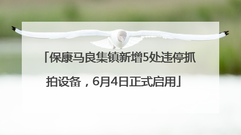 保康马良集镇新增5处违停抓拍设备，6月4日正式启用