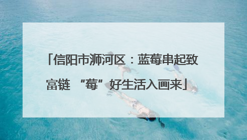信阳市浉河区：蓝莓串起致富链 “莓”好生活入画来