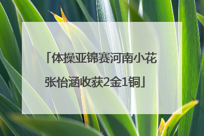 体操亚锦赛河南小花张怡涵收获2金1铜