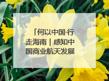 何以中国·行走海南｜感知中国商业航天发展，从文昌开始
