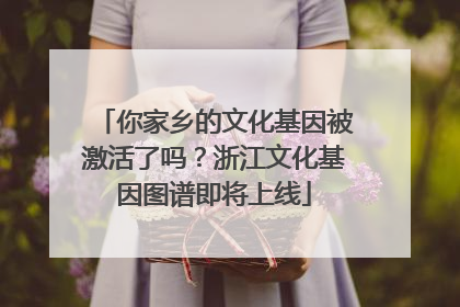 你家乡的文化基因被激活了吗？浙江文化基因图谱即将上线