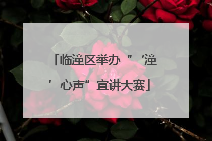 临潼区举办“‘潼’心声”宣讲大赛