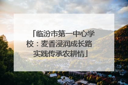 临汾市第一中心学校：麦香浸润成长路 实践传承农耕情
